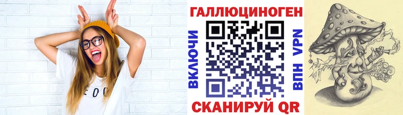 Галлюциногенные грибы Psilocybine cubensis  сколько стоит  Луза 